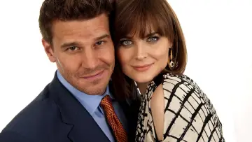 Backdrop к сериалу "Bones" #1241239
