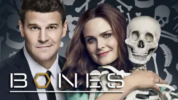 Backdrop к сериалу "Bones" #1241281