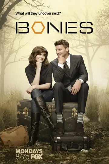 Poster к сериалу "Bones" #1241372