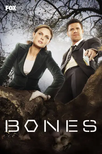 Poster к сериалу "Bones" #1241468