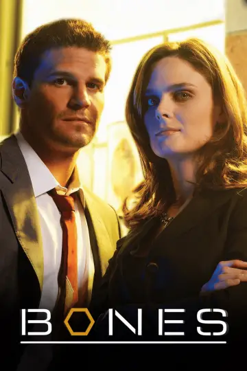 Poster for the TV series "Bones" #1655732
