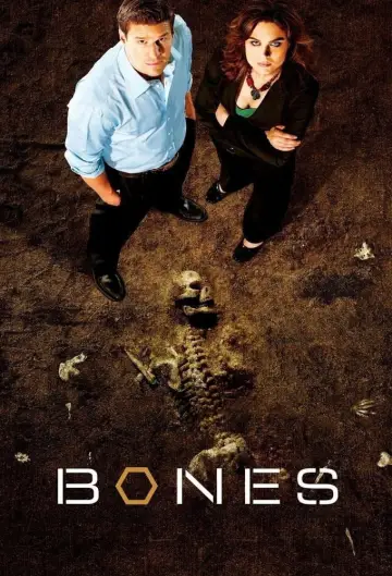 Poster for the TV series "Bones" #1655733