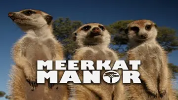 Backdrop for the TV series "Meerkat Manor" #1802177