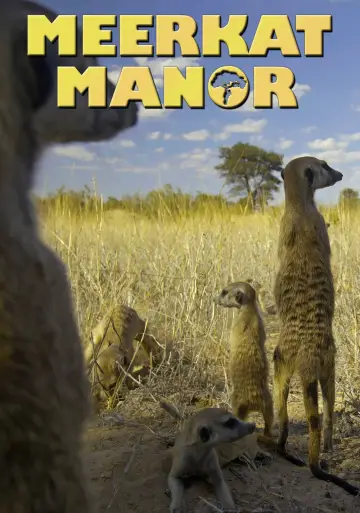 Meerkat Manor (2005–2008)