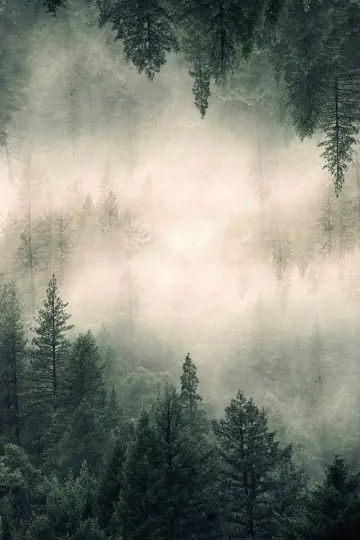Poster к сериалу "Twin Peaks" #1274742
