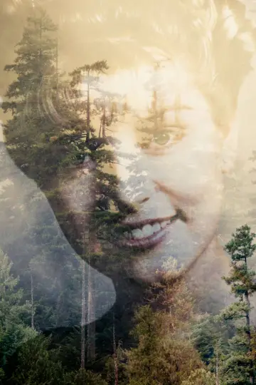 Poster к сериалу "Twin Peaks" #1274743