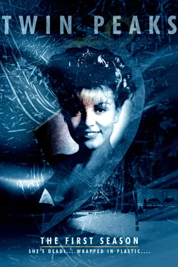 Poster for the TV series "Twin Peaks" #1519453