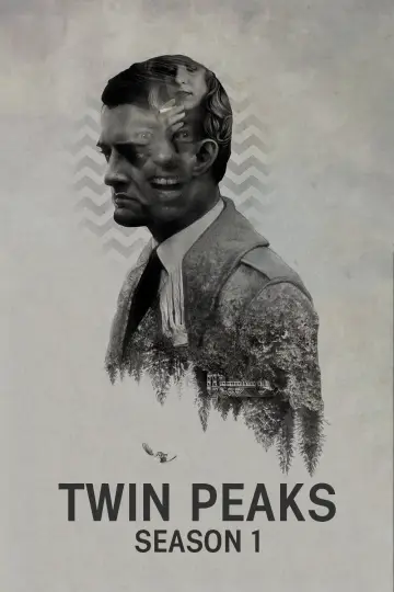 Poster for the TV series "Twin Peaks" #1519454