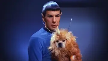 Backdrop к сериалу "Star Trek" #1269651