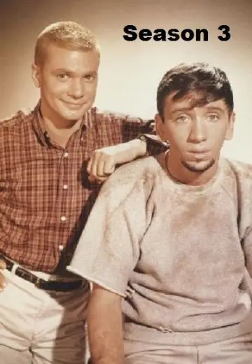 Poster for the TV series "The Many Loves of Dobie Gillis" #1703226