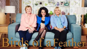 Backdrop for the TV series "Birds of a Feather" #1377594