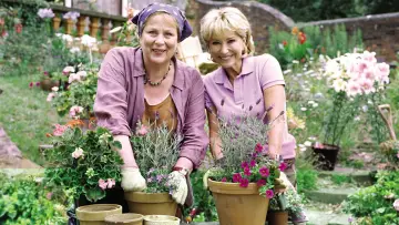 Backdrop for the TV series "Rosemary & Thyme" #1826652