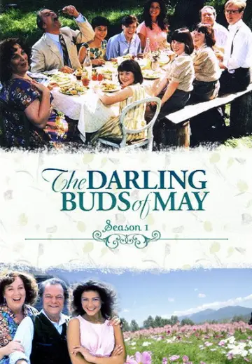 Poster for the TV series "The Darling Buds of May" #1739202