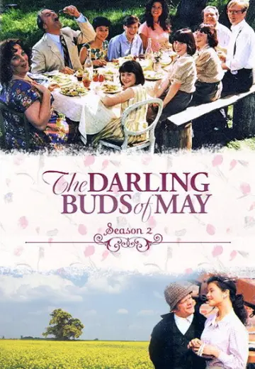 Poster for the TV series "The Darling Buds of May" #1739206