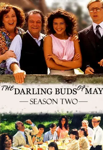 Poster for the TV series "The Darling Buds of May" #1739207