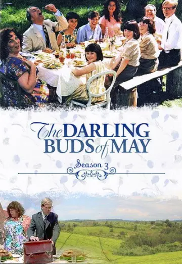 Poster for the TV series "The Darling Buds of May" #1739210