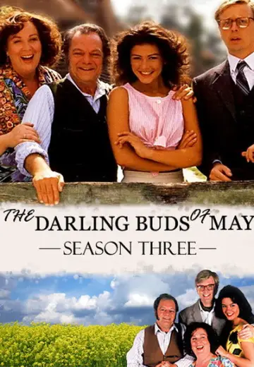 Poster for the TV series "The Darling Buds of May" #1739211