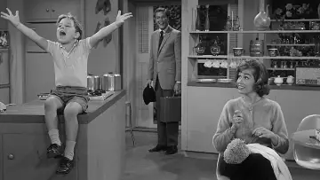 Backdrop к сериалу "The Dick Van Dyke Show" #1283452