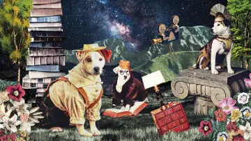Backdrop for the TV series "Wishbone" #1808421