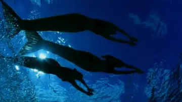 Backdrop к сериалу "H2O: Just Add Water" #1349426