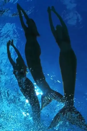 Poster к сериалу "H2O: Just Add Water" #1349465