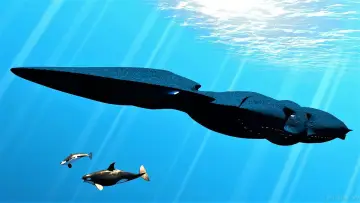 Backdrop к сериалу "seaQuest DSV" #1349108