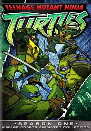 Poster for the TV series "Teenage Mutant Ninja Turtles" #1697138
