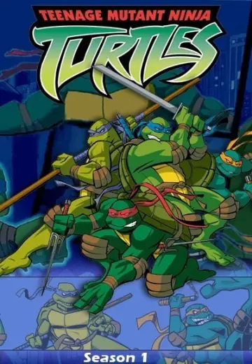 Poster for the TV series "Teenage Mutant Ninja Turtles" #1697139