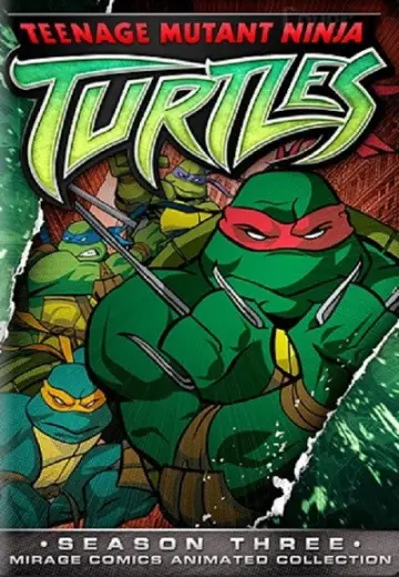 Poster for the TV series "Teenage Mutant Ninja Turtles" #1697146