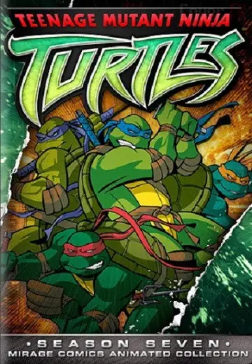 Poster for the TV series "Teenage Mutant Ninja Turtles" #1697161