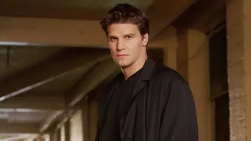 Backdrop к сериалу "Angel" #1293215