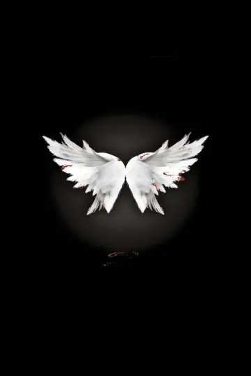 Poster к сериалу "Angel" #1293271