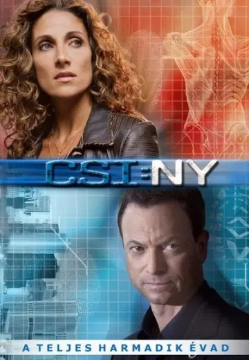 Poster for the TV series "CSI: NY" #1565646