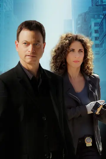 Poster for the TV series "CSI: NY" #1565670