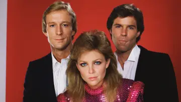 Backdrop к сериалу "Knots Landing" #1314342