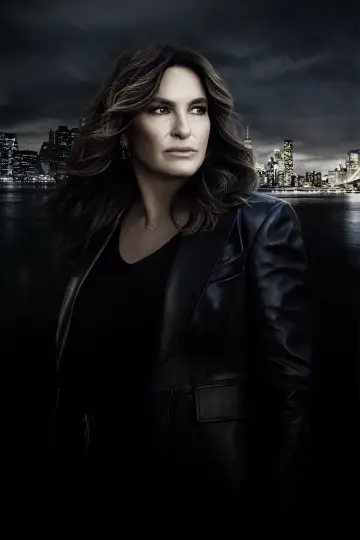Poster for the TV series "Law & Order: Special Victims Unit" #1231783