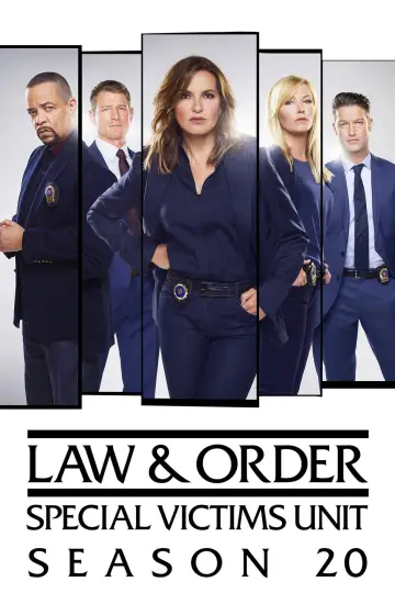 Poster for the TV series "Law & Order: Special Victims Unit" #1236568