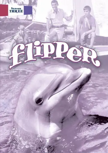 Poster for the TV series "Flipper" #1729532