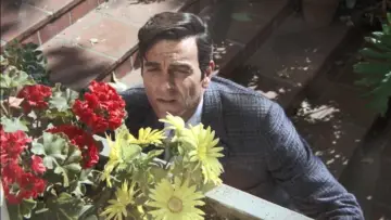 Backdrop к сериалу "Mannix" #1298411