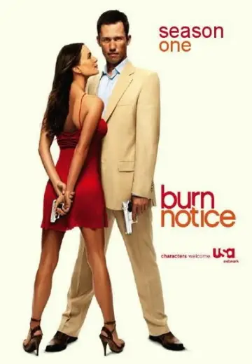 Poster for the TV series "Burn Notice" #1674877