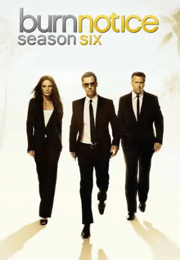 Poster for the TV series "Burn Notice" #1674904