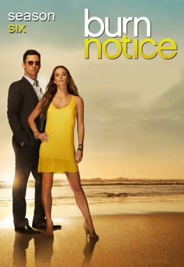 Poster for the TV series "Burn Notice" #1674905