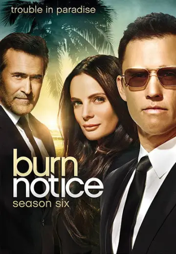 Poster for the TV series "Burn Notice" #1674906