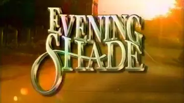 Backdrop for the TV series "Evening Shade" #1451963