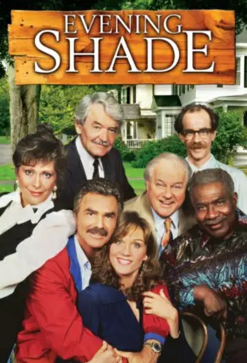 Poster for the TV series "Evening Shade" #1451974