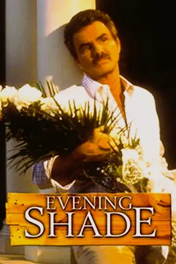 Poster for the TV series "Evening Shade" #1451975