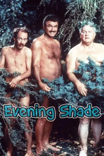 Poster for the TV series "Evening Shade" #1451977