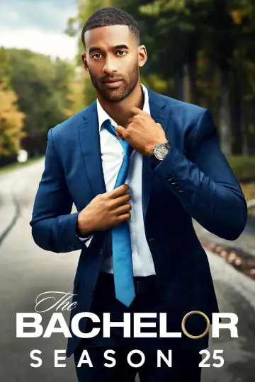 Poster for the TV series "The Bachelor" #1714423