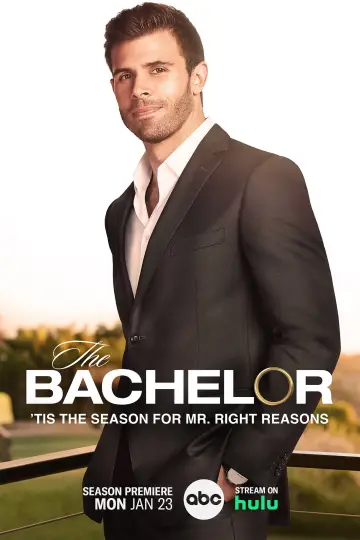 Poster for the TV series "The Bachelor" #1714427