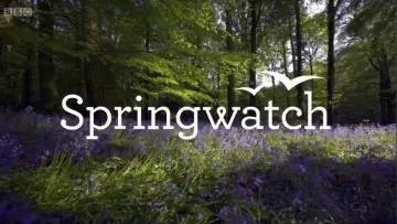 Backdrop к сериалу "Springwatch" #1395960